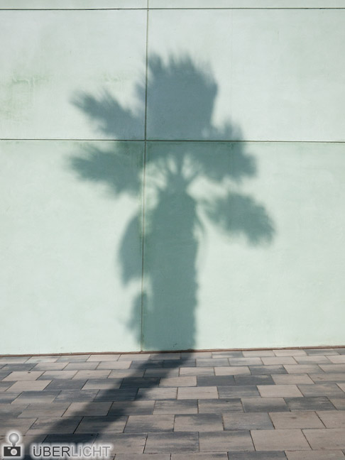 Schatten Palme Barcelona Panasonic GF1