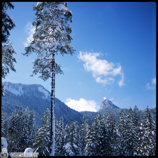 Alpine Winterlandschaft Bayern Agfa Click II